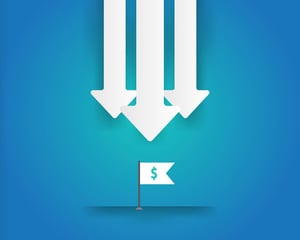 How much does Portfolio Management Software cost?