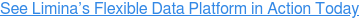 See Limina’s Flexible Data Platform in Action Today